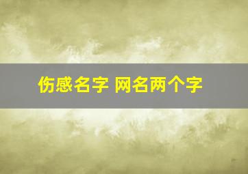 伤感名字 网名两个字